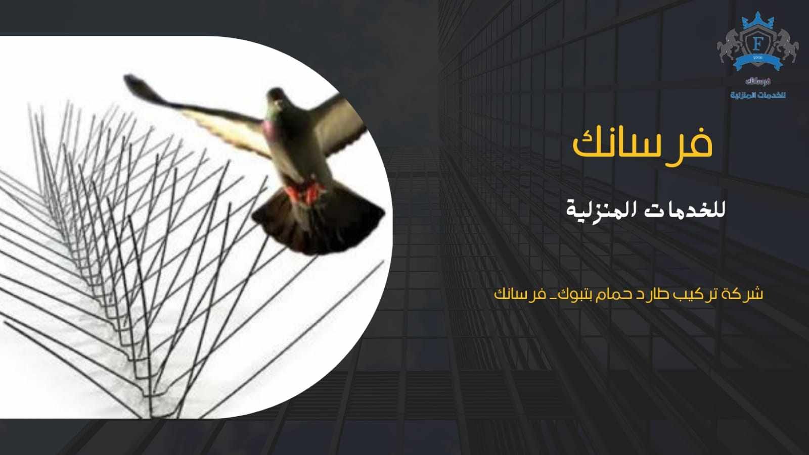 تركيب طارد للحمام في تبوك