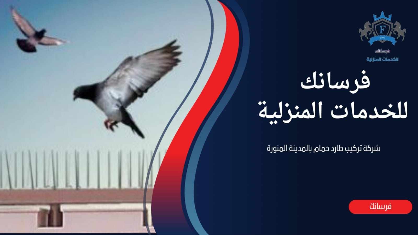 شركة تركيب طارد حمام بالمدينة المنورة