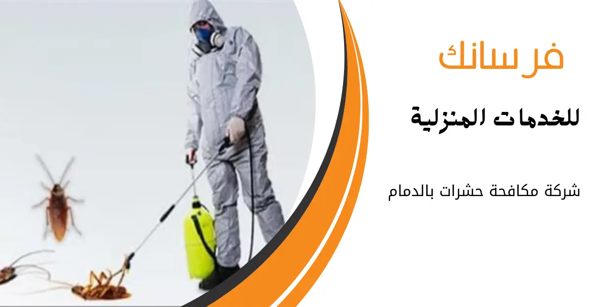 شركة مكافحة حشرات بالدمام شركة مكافحة حشرات بالدمام