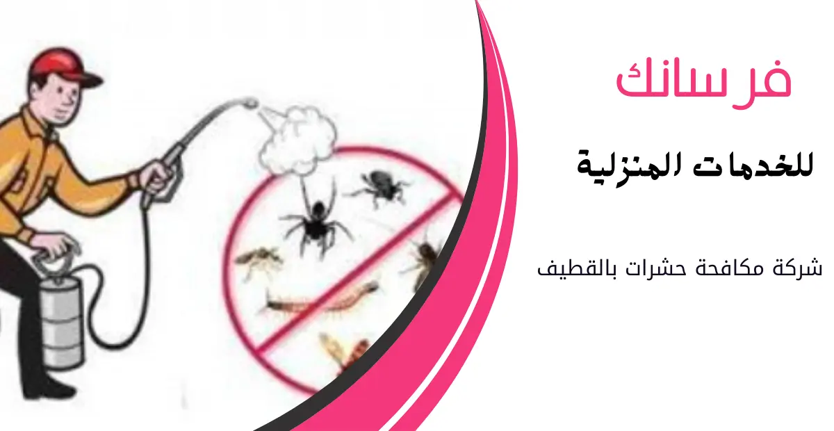 شركة مكافحة حشرات بالقطيف شركة مكافحة حشرات بالقطيف