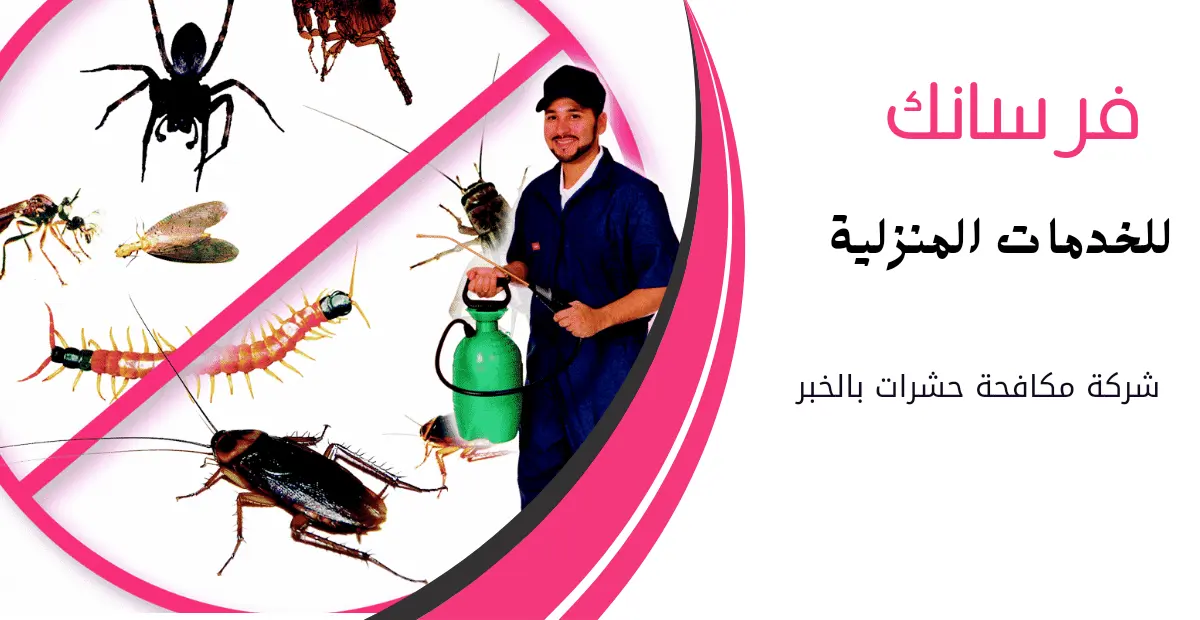 شركة مكافحة حشرات بالخبر شركة مكافحة حشرات بالخبر